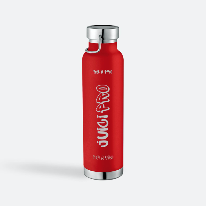 Stainless Steel Insulated 22oz. Bottle